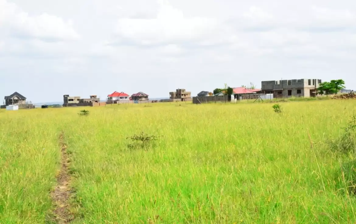 Kamakis Ruiru bypass plots for sale Image