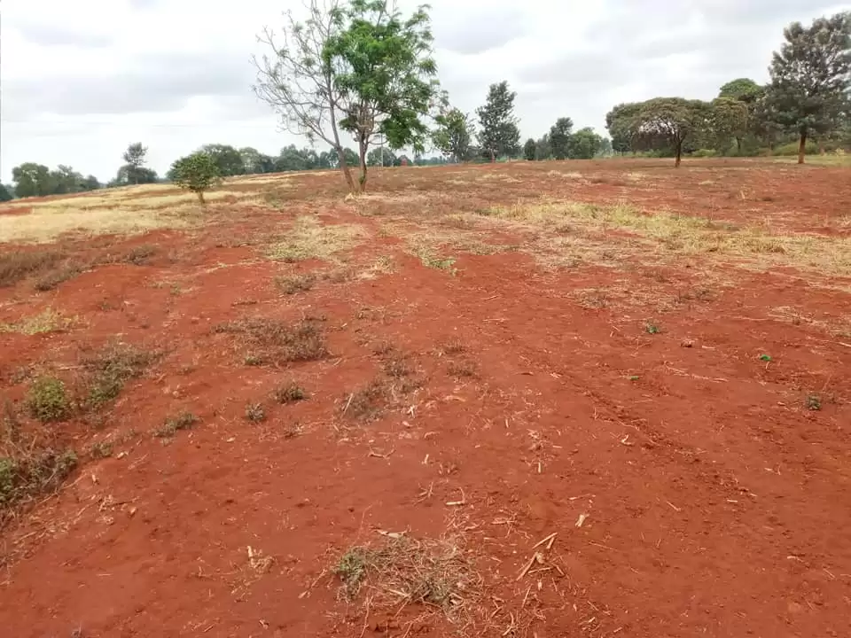 Kenyatta road Land for sale Image