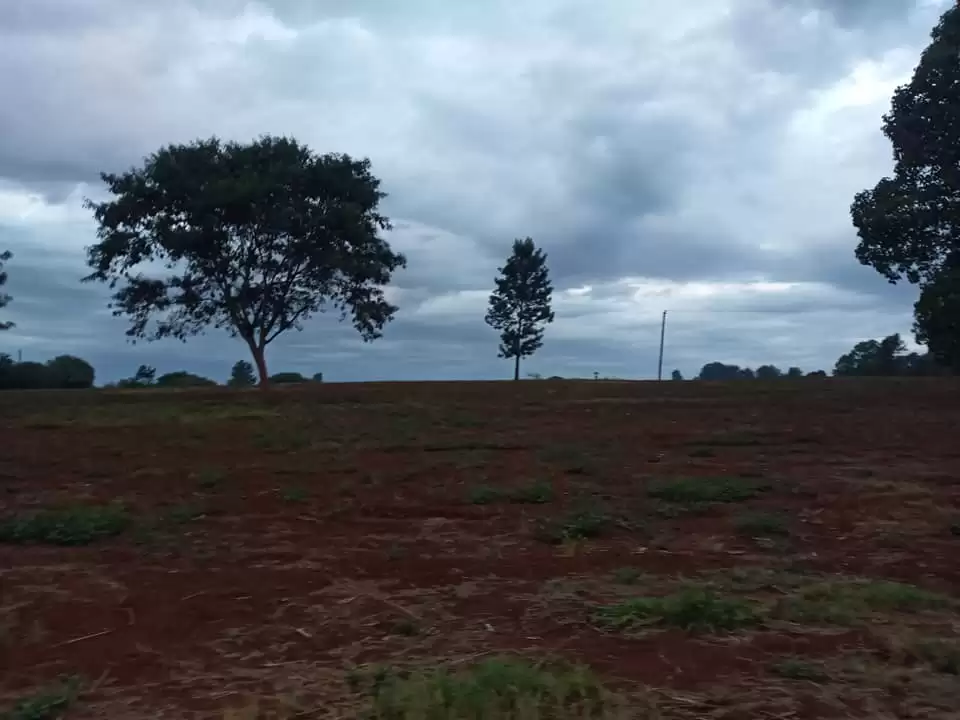 Kenyatta road quatre acre land for sale Image