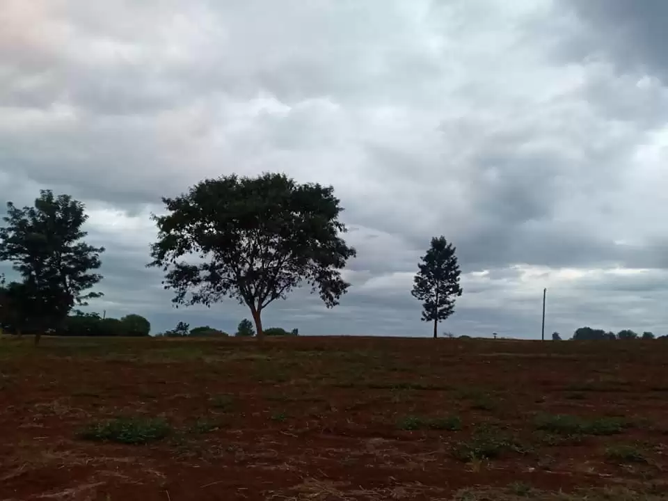 Kenyatta road quatre acre land for sale Image