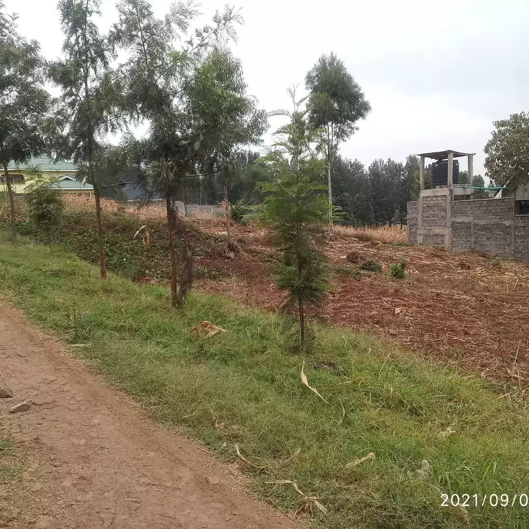 Kiamumbi plots for sale Image