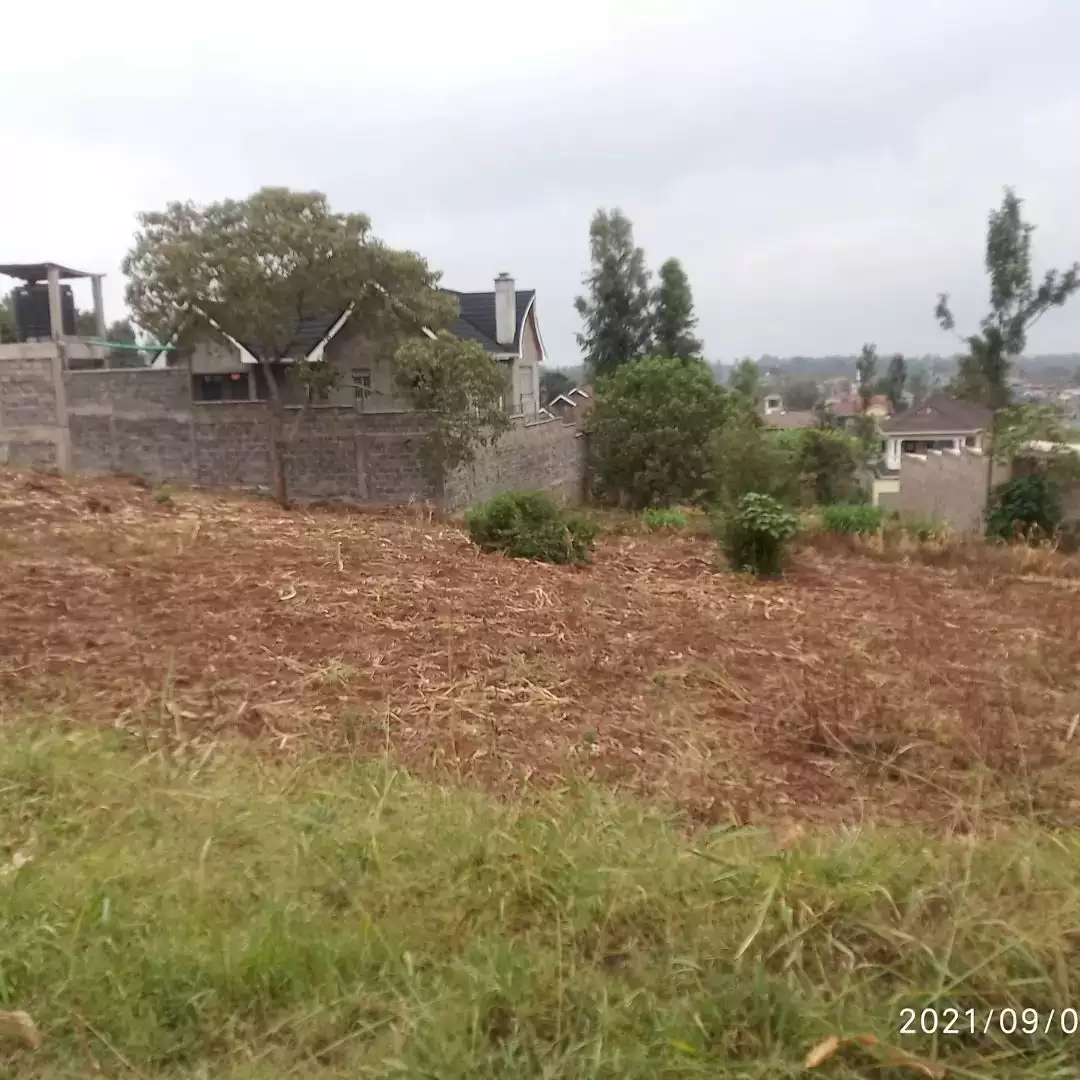 Kiamumbi plots for sale Image