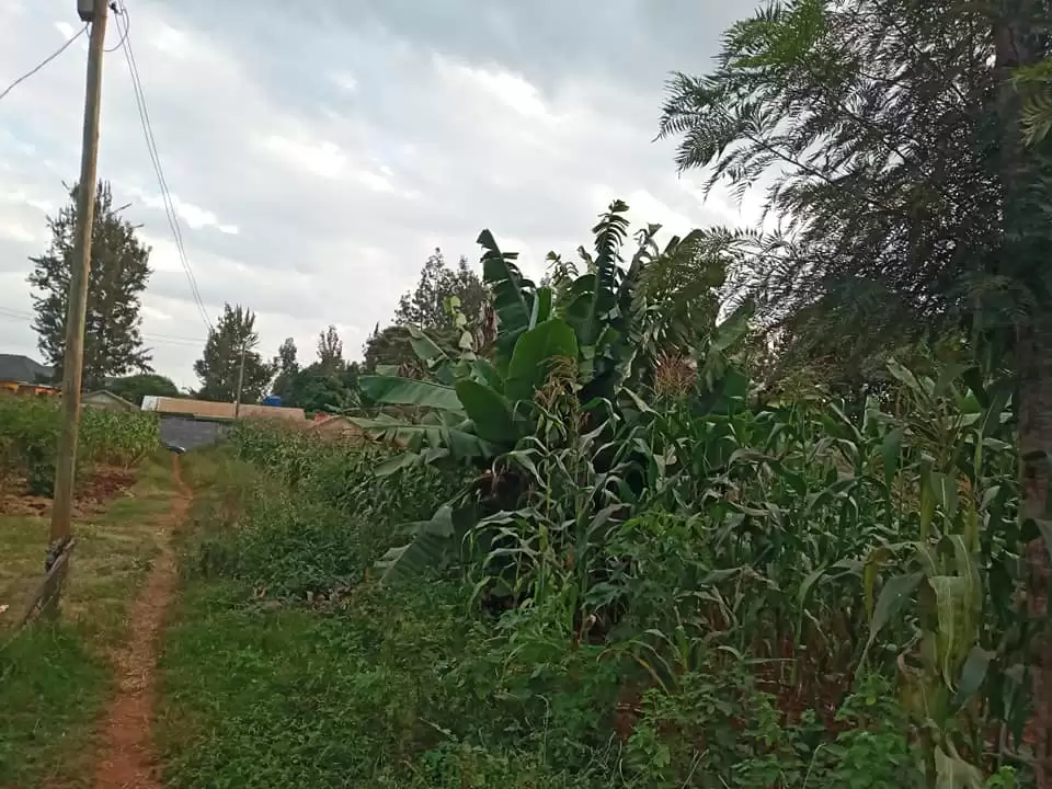 Land along Kenyatta road for sale Image