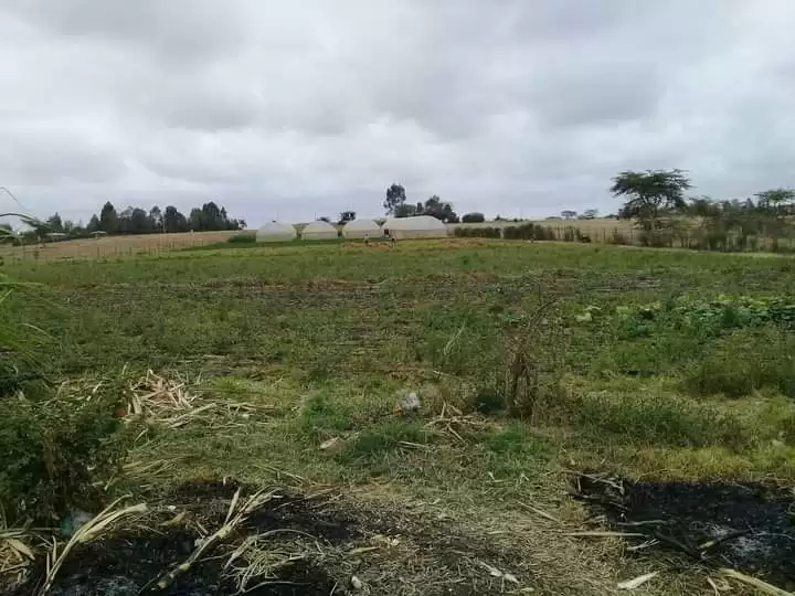 Land for lease in Isinya Kantafu Image