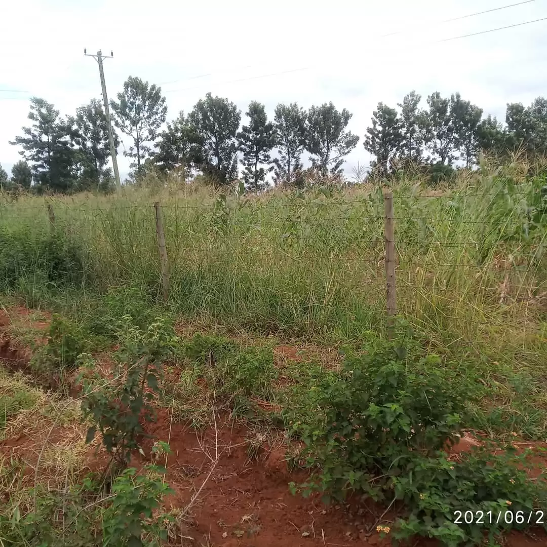 Land for lease in mwea Image