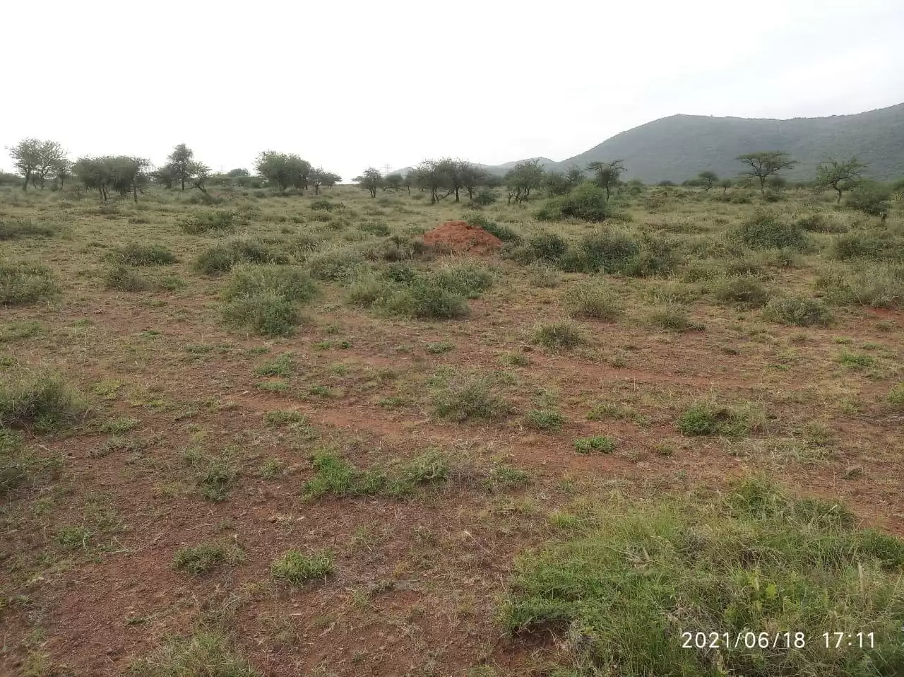 Land for lease in Ngong Suswa Image