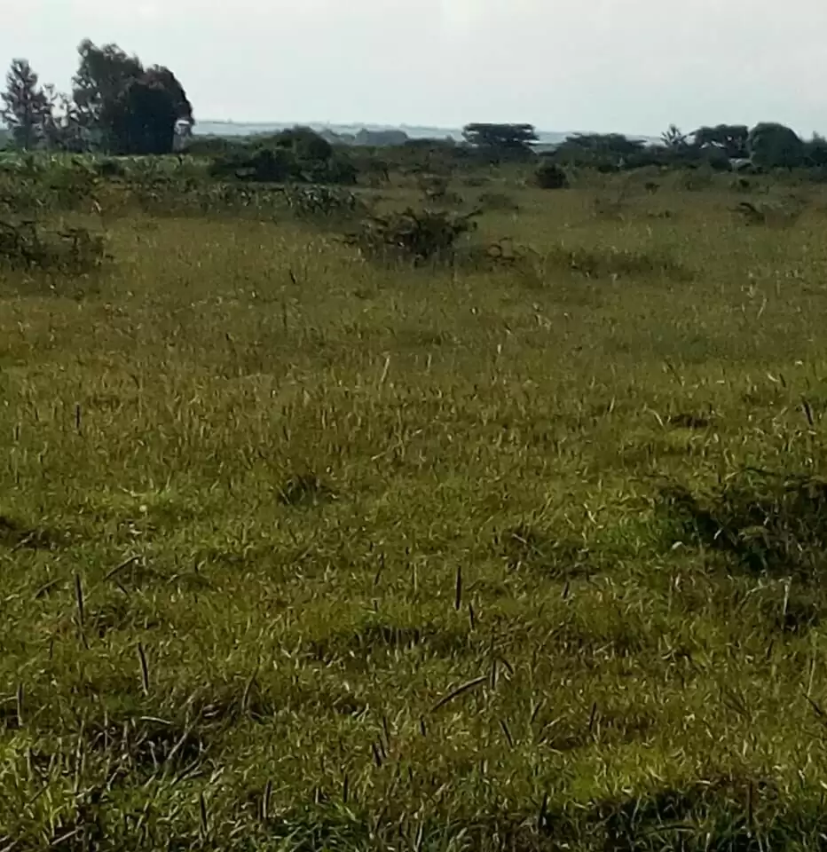 Land for lease in Rumuruti Township Laikipia Image