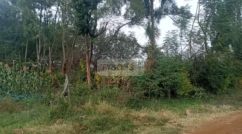 Land for sale along Kamiti road Kiukenda Estate Image