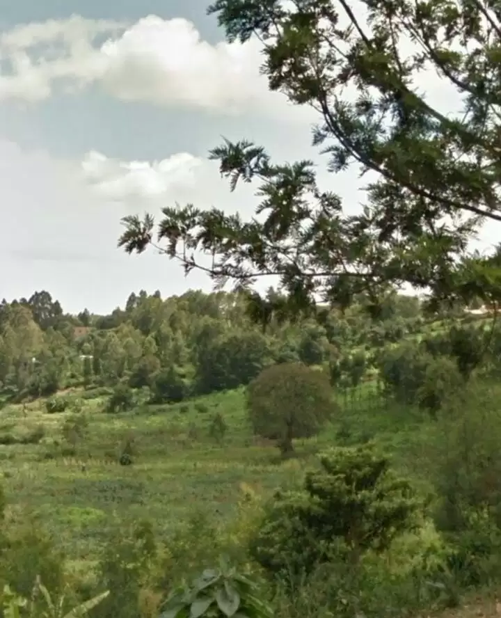 Land for sale along Muhuri road Rudhimitu Dagoretti Kikuyu Image