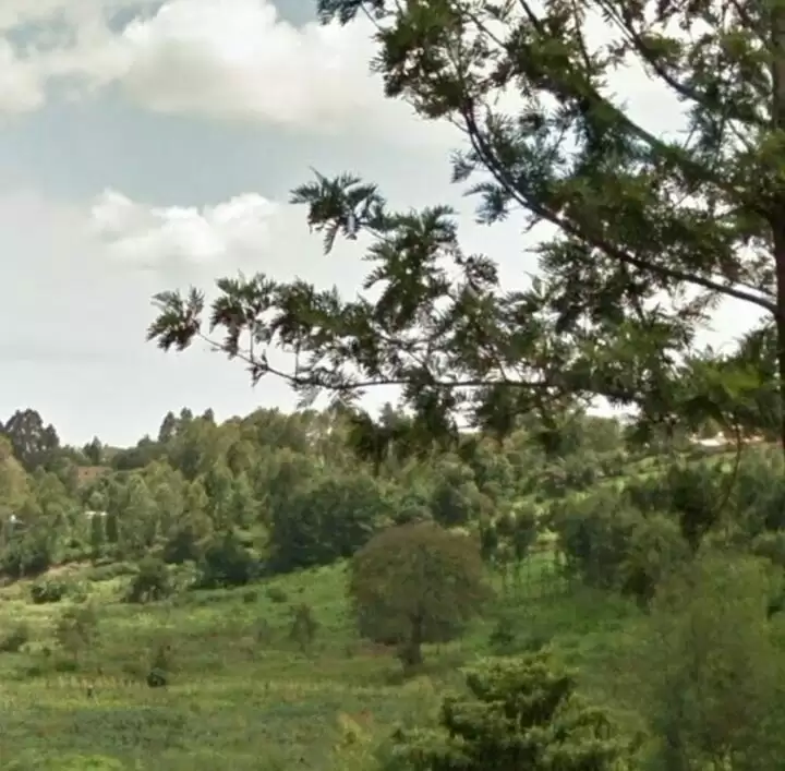 Land for sale along Muhuri road Rudhimitu Dagoretti Kikuyu Image