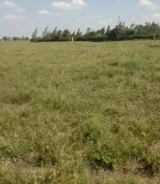 Land for sale in Birika Isinya along Pipeline road Image