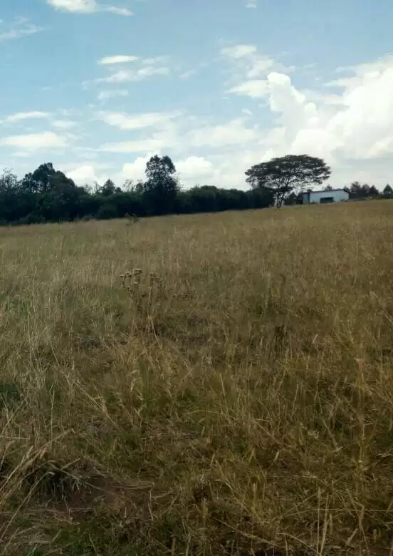 Land for sale in Chaka town Narumoro Image