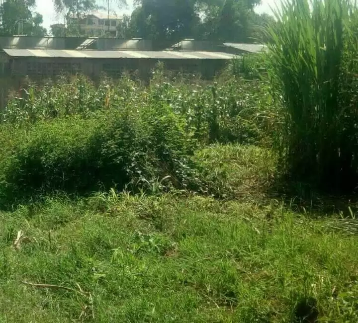 Land for sale in Githurai 44 kamiti road Image