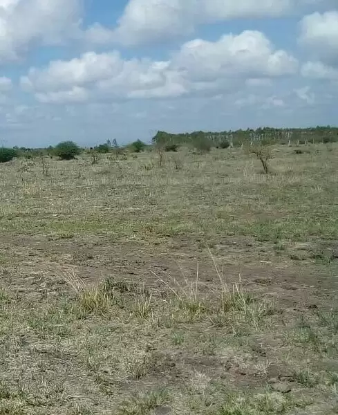 Land for sale in Juja Farm Mwireri Image