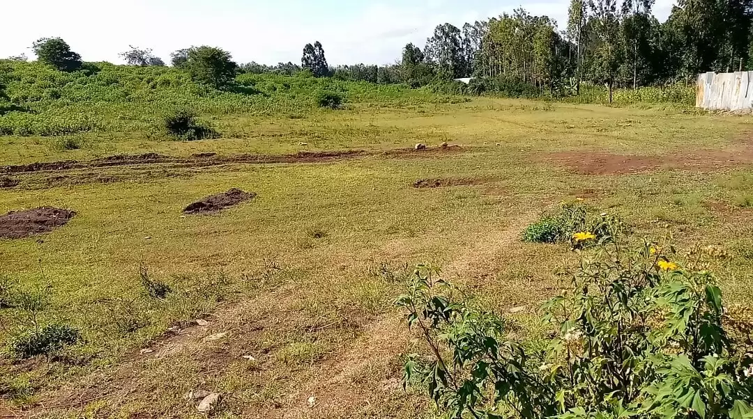 Land for sale in Kabati Kenol town Image