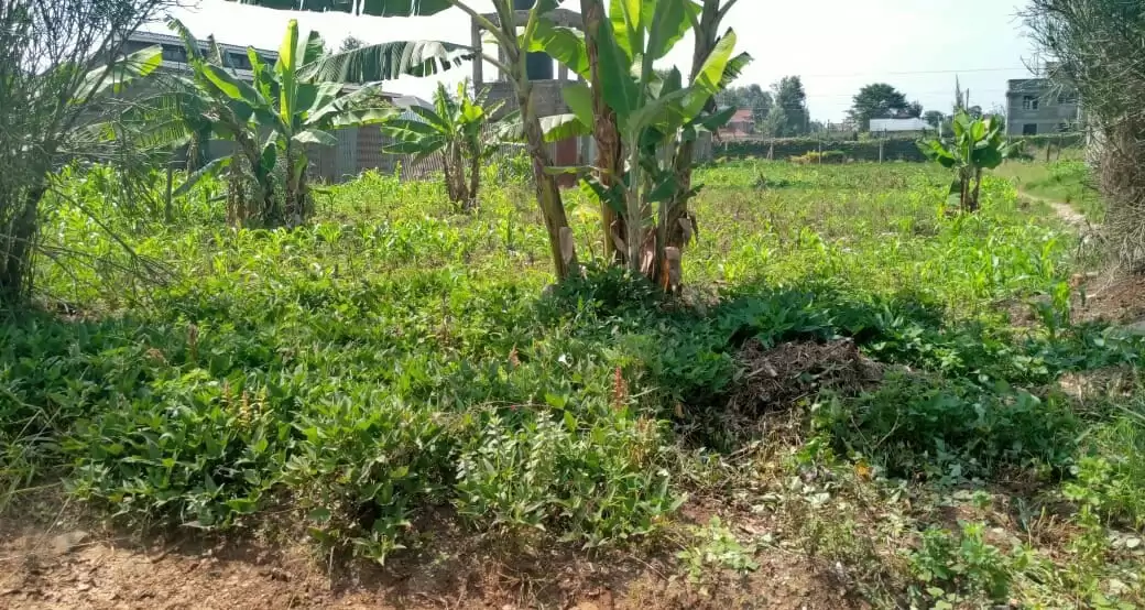 Land for sale in Kahawa West Kiamumbi Image