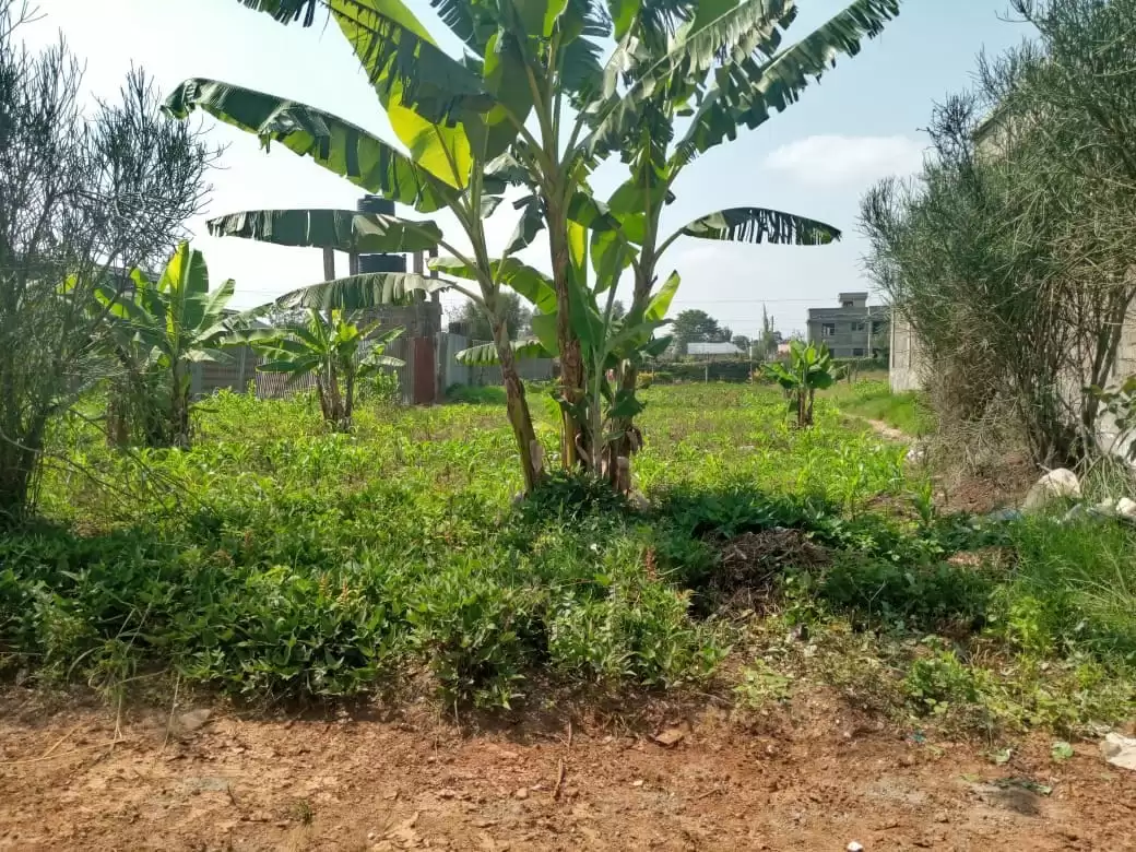 Land for sale in Kahawa West Kiamumbi Image