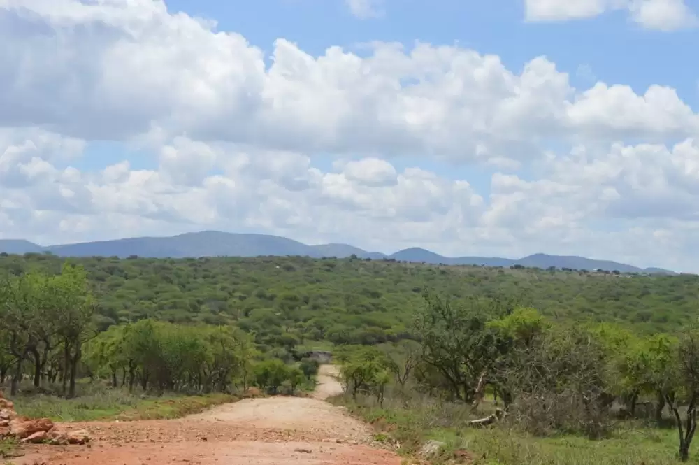 Land for sale in Kajiado Image