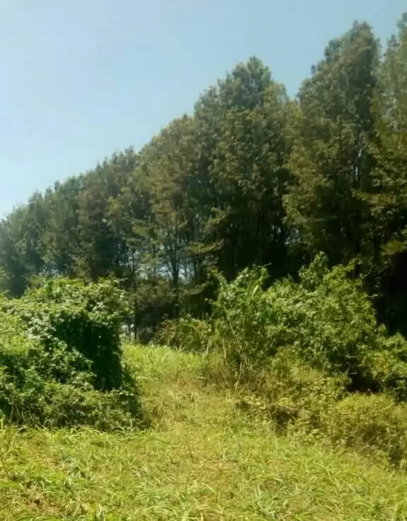 Land for sale in Kamangu Kikuyu Image