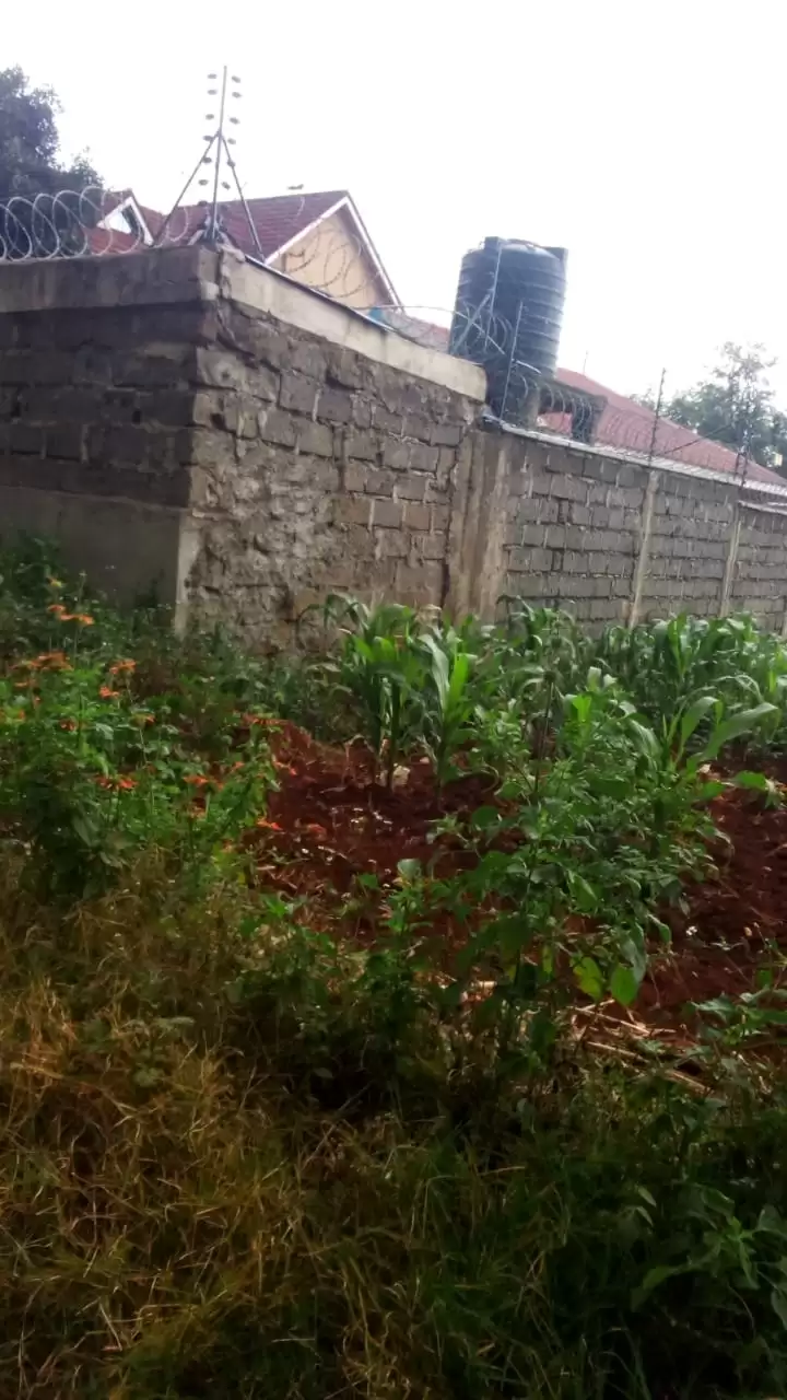 Land for sale in Kanunga Kiambu County Image