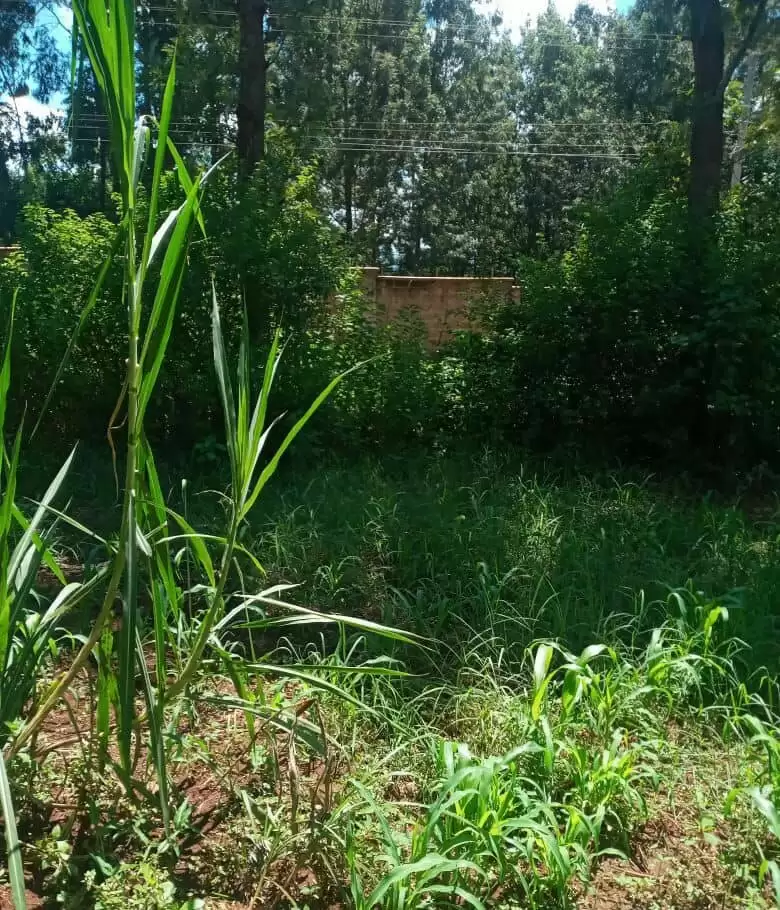 Land for sale in Kenol Kambiti Makuyu Muranga Image