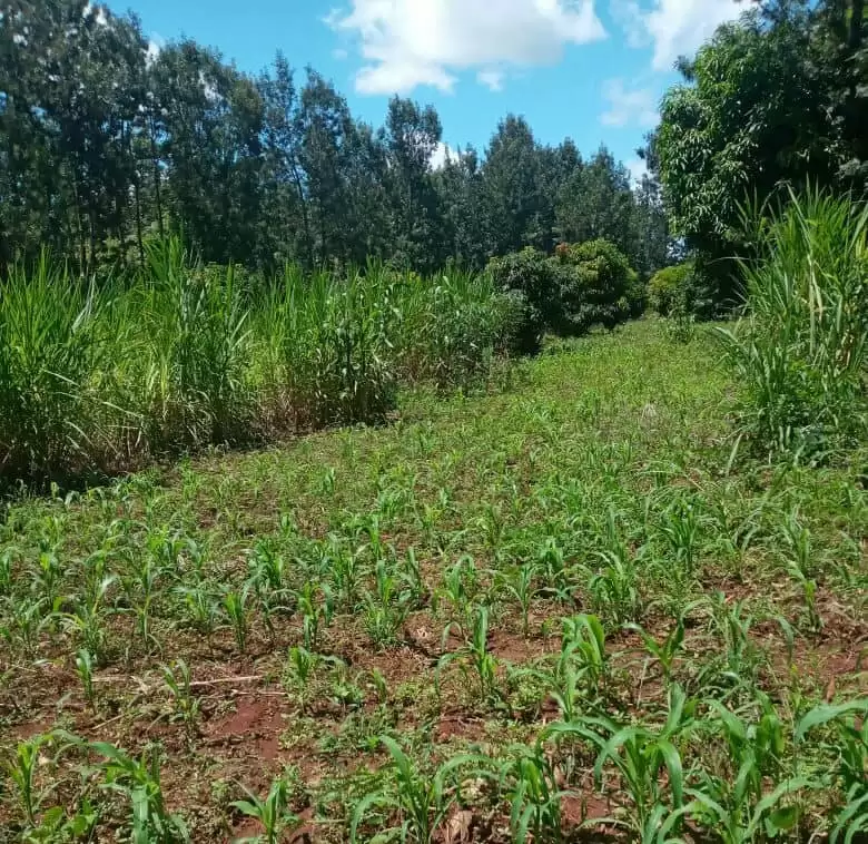 Land for sale in Kenol Kambiti Makuyu Muranga Image