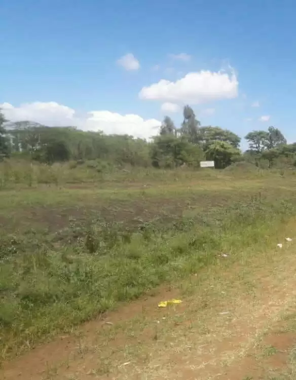 Land for sale in Kenol Town Muranga Image