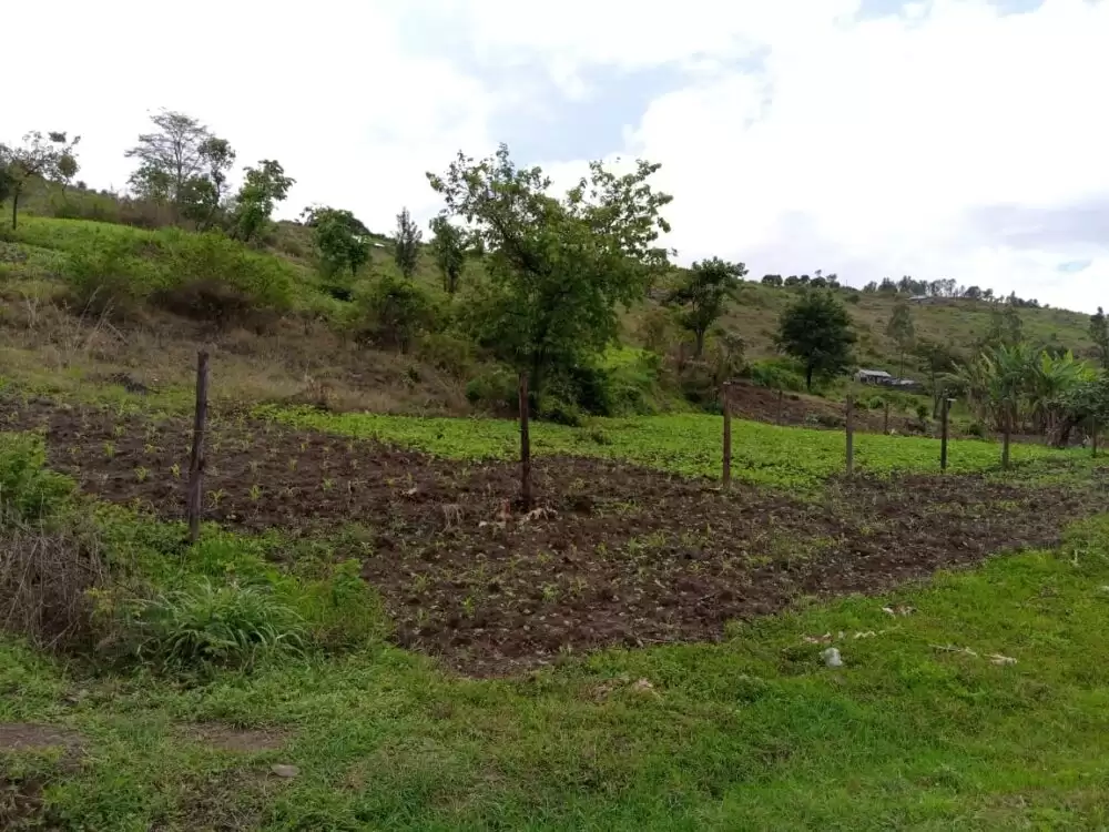 Land for sale in Kenol Image