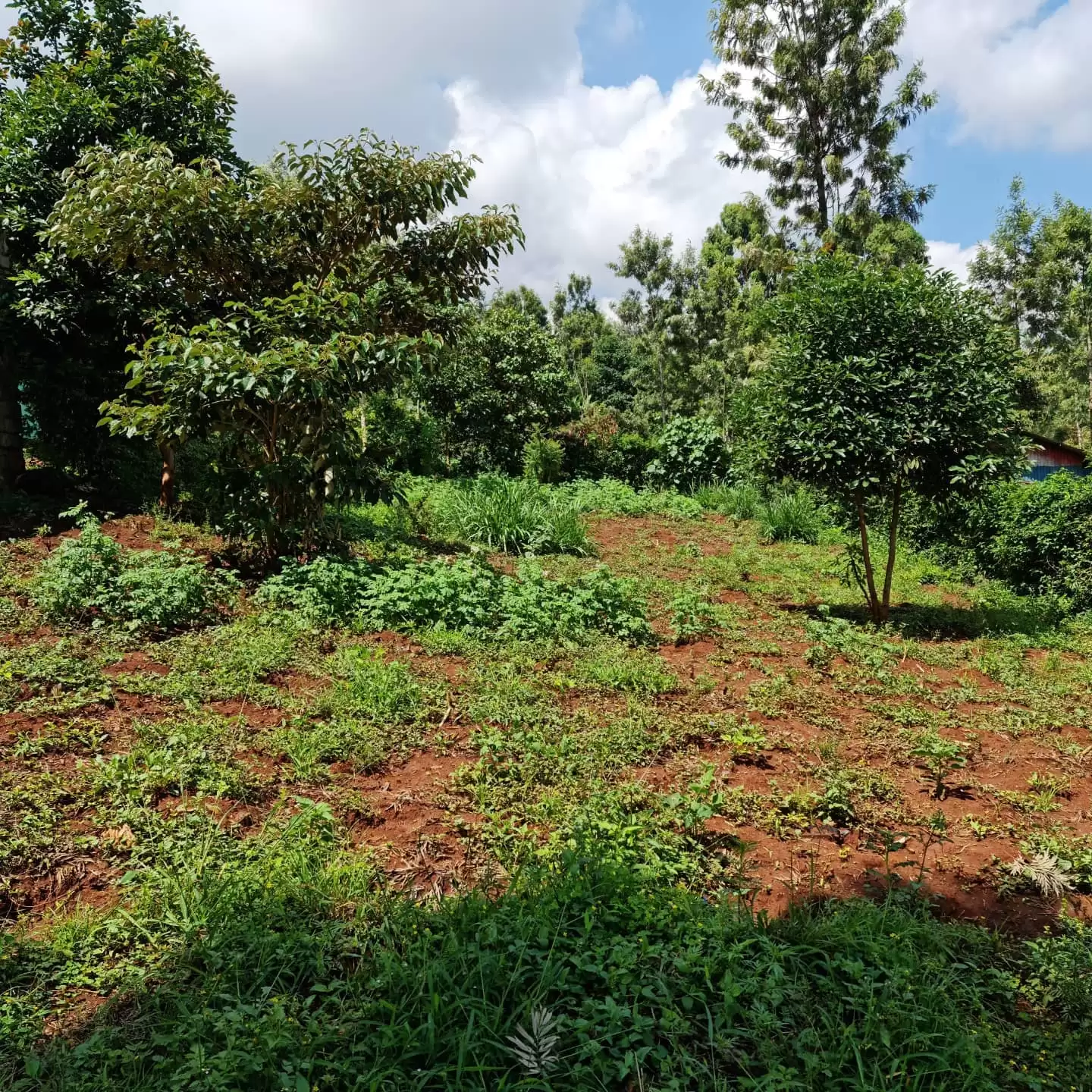 Land for sale in Kiambu Turitu Image