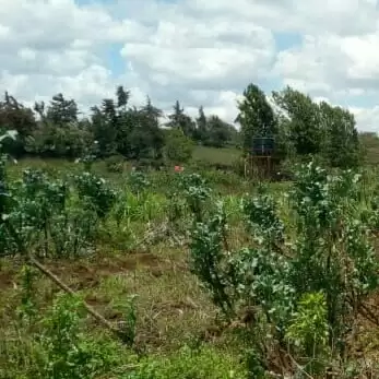 Land for sale in Kibiko Ngong Hills Image