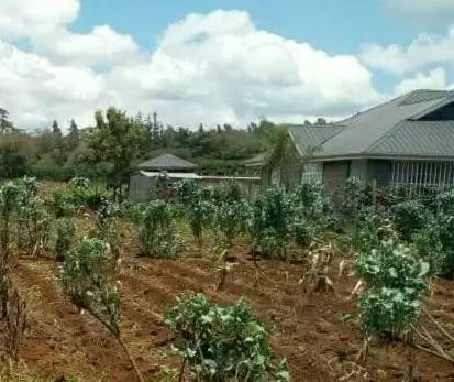 Land for sale in Kibiko Ngong Hills Image