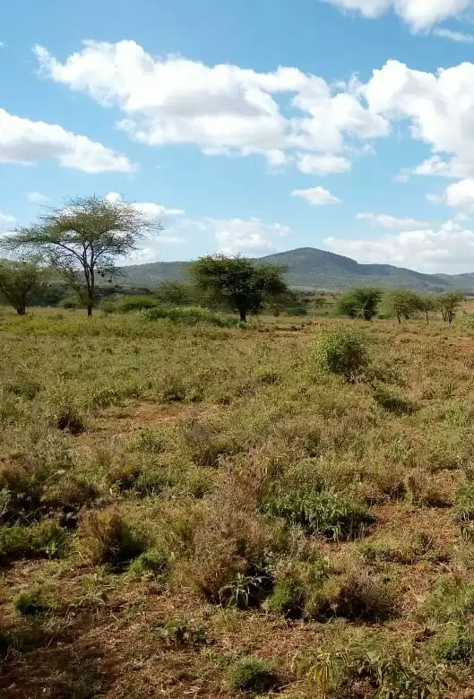 Land for sale in Kibini Mashuru Kajiado County Image