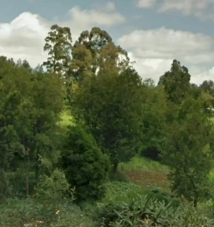 Land for sale in Kikuyu Kamangu Gikambura Image