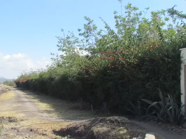 Land for sale in Knagundo road Koma Hill Image