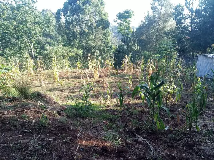 Land for sale in Kyuna estate Image