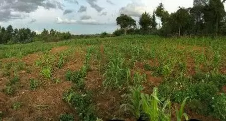 Land for sale in Lesha Mairo Inya Nyahururu Image