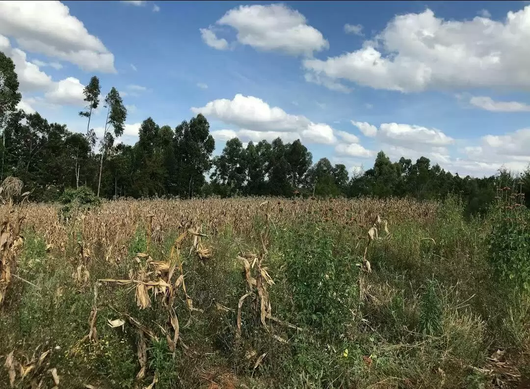 Land for sale in Leshau gwa Kungu Nyahururu in Leshau, Kenya Propscout