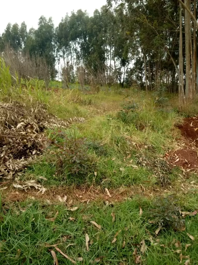 Land for sale in Limuru Kihongo Image