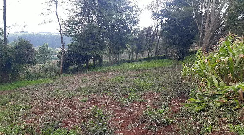 Land for sale in Limuru Town Image