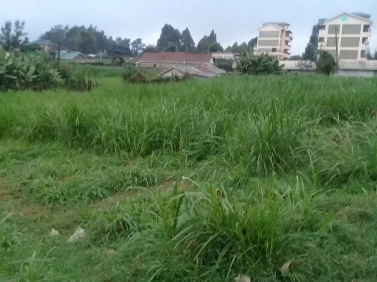 Land for sale in Lower Kabete Kingeero Wangingi Image