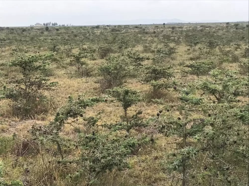 Land for sale in Malaa Kangundo road Image