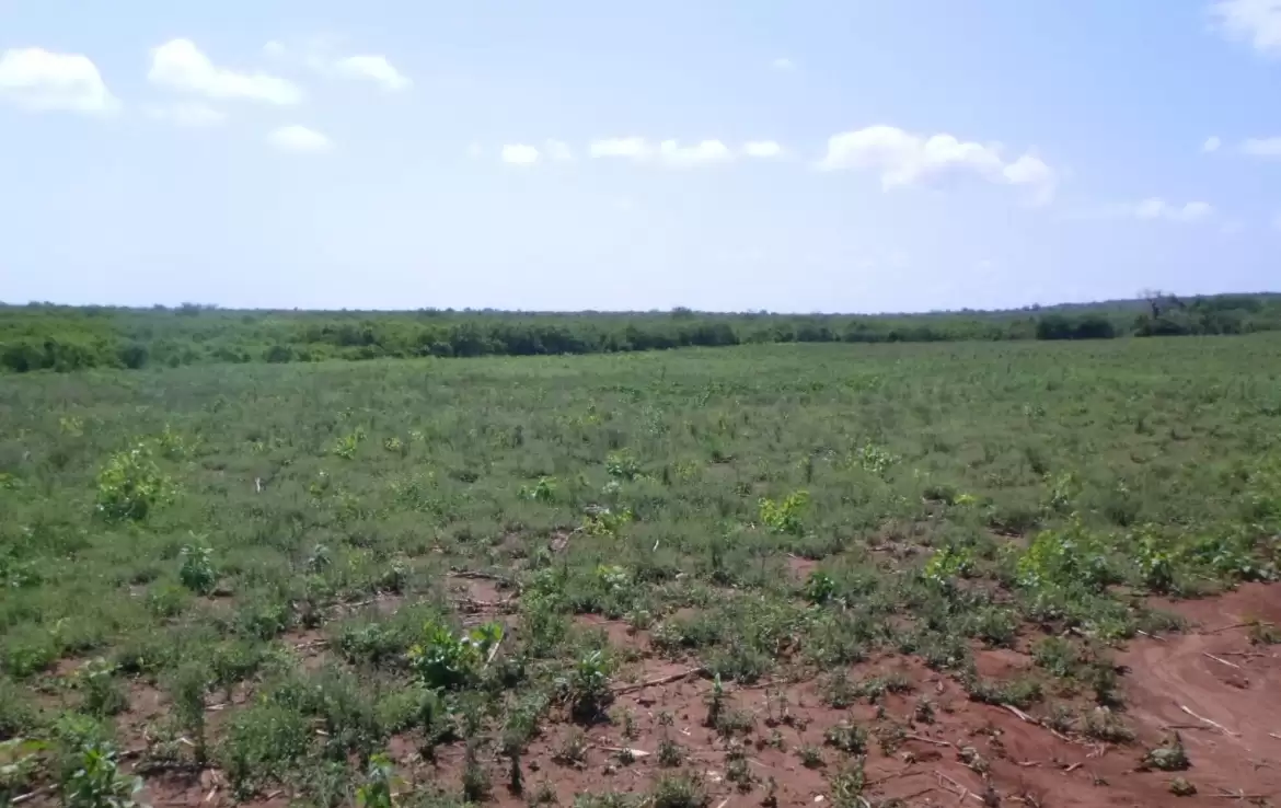 Land for sale in Malindi Marereni Image