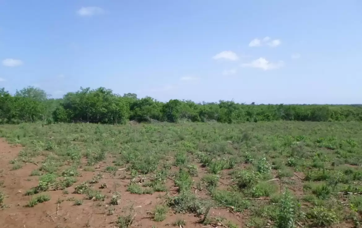 Land for sale in Malindi Marereni Image