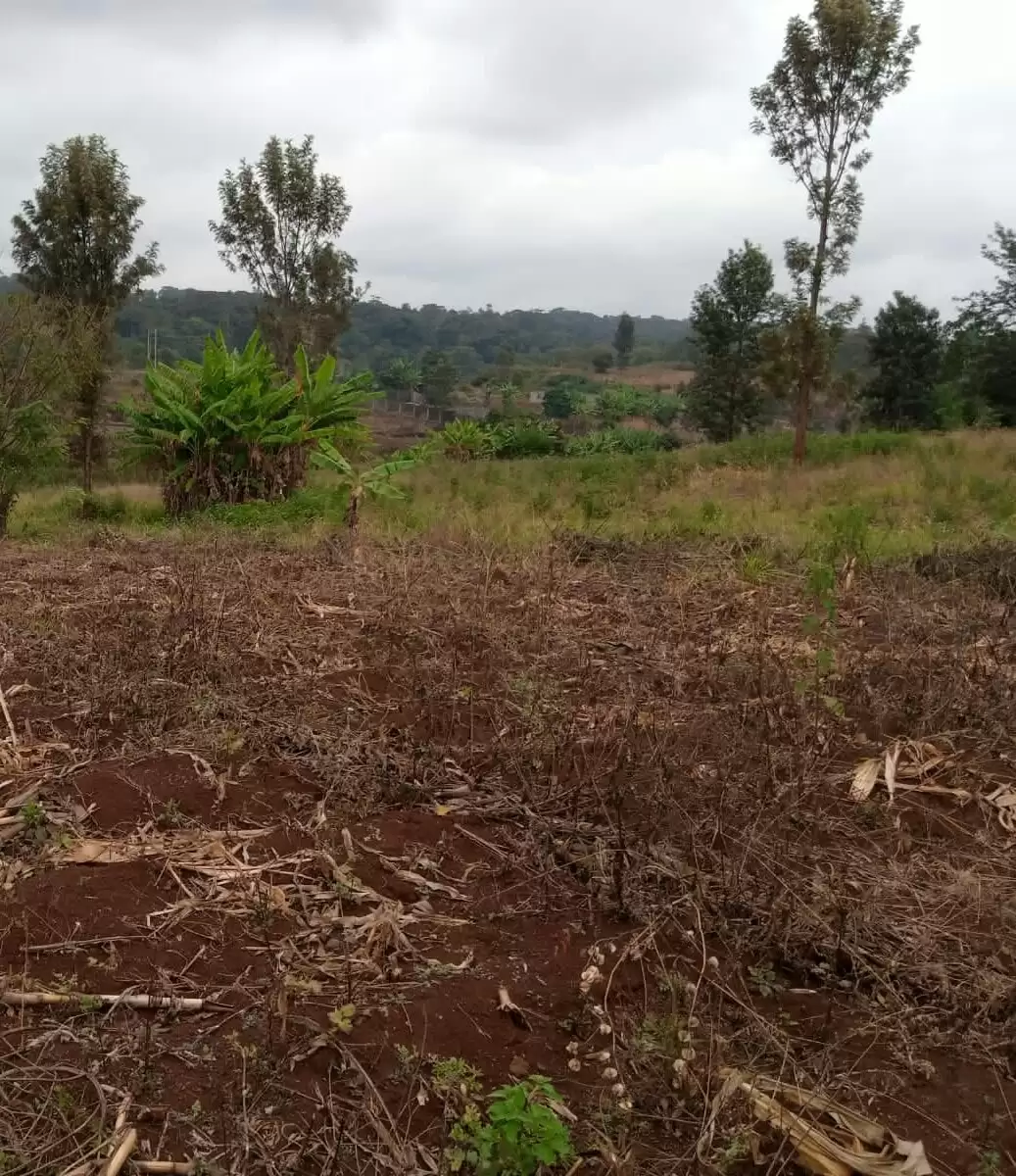 Land for sale in Marurui Thome Image