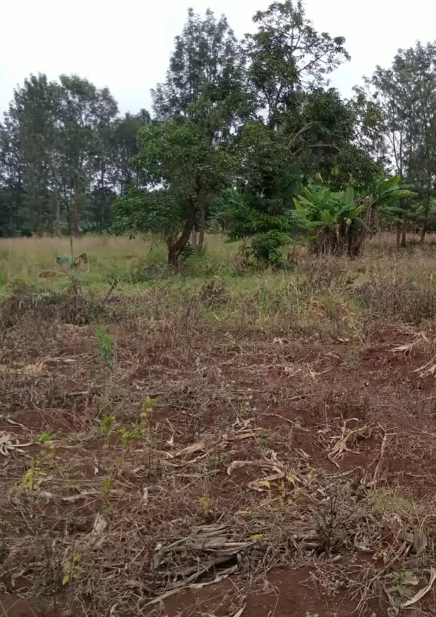 Land for sale in Marurui Thome Image