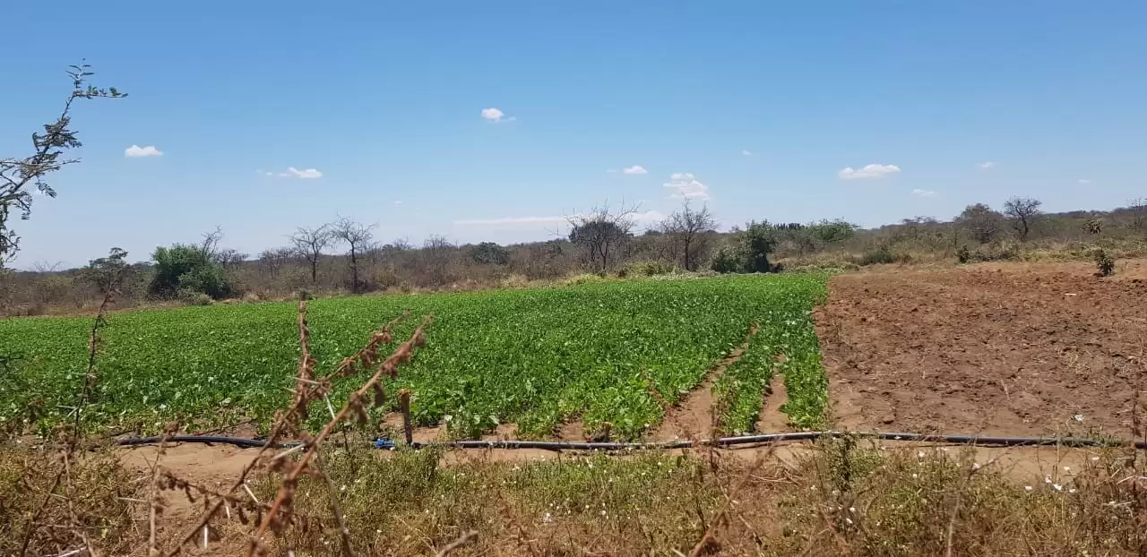 Land for sale in Matuu Kanyonyo area Image