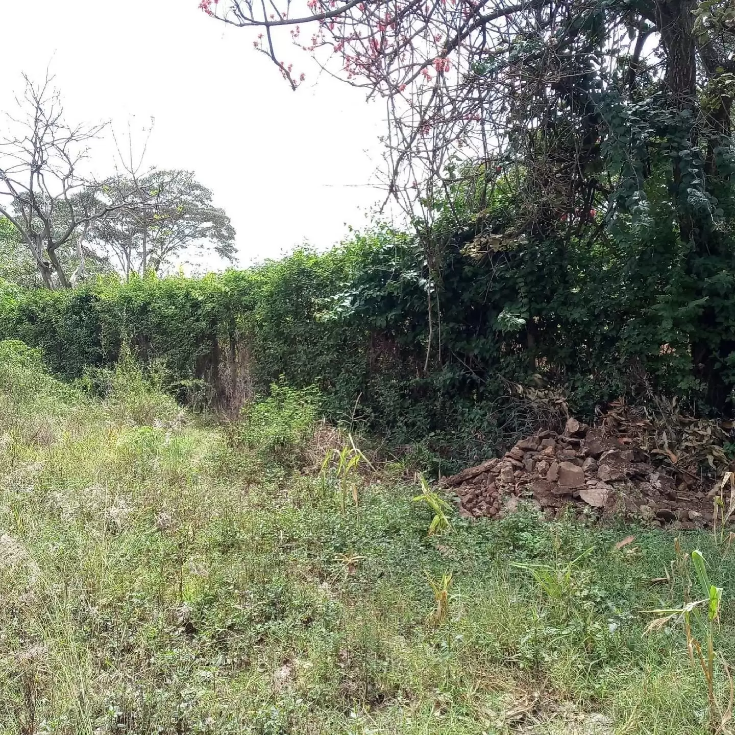 Land for sale in Membley estate Thika road Image