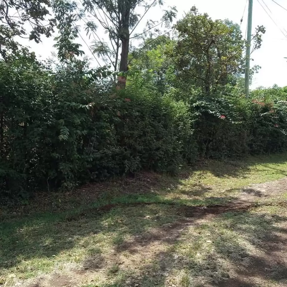 Land for sale in Membley estate Thika road Image