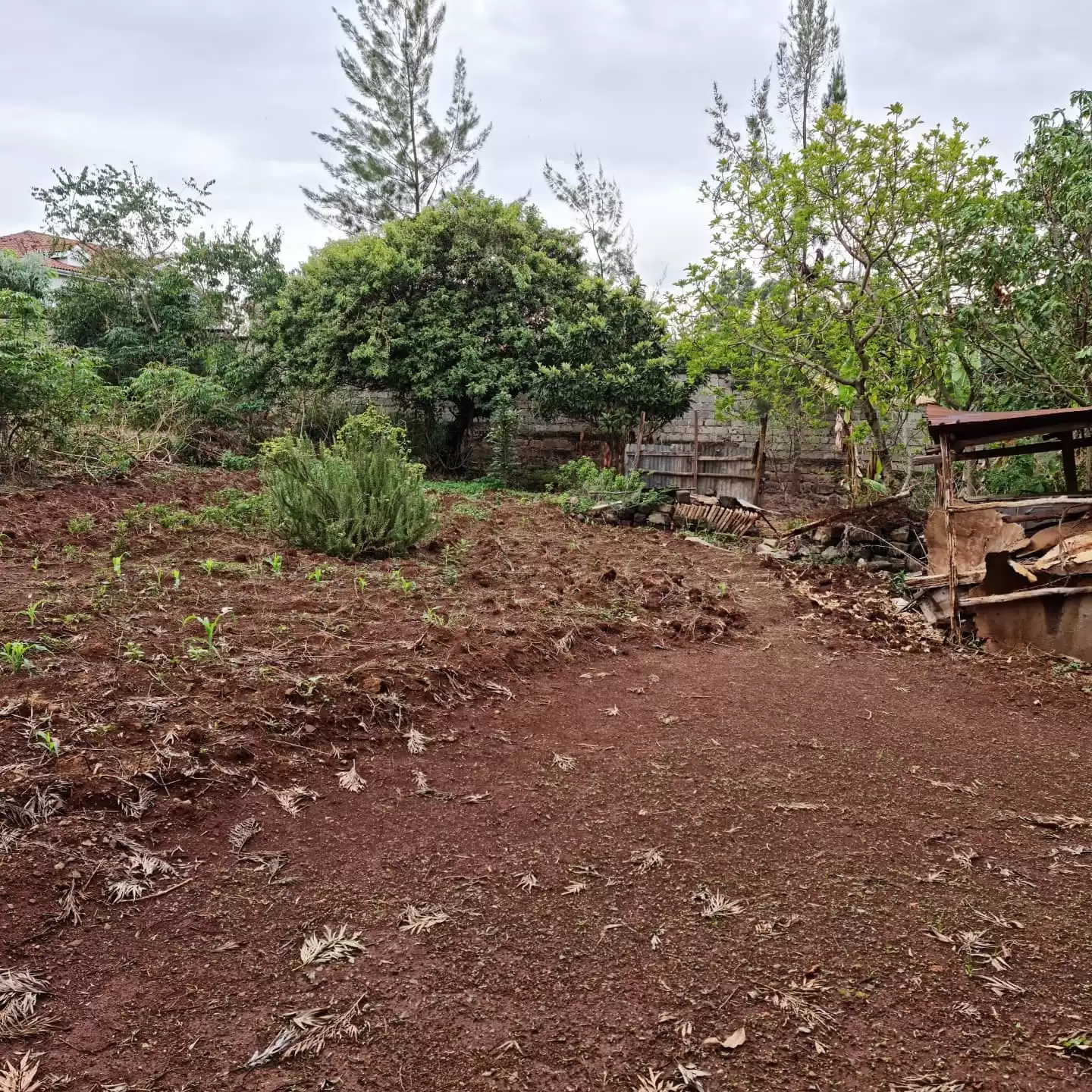 Land for sale in Muthaiga North Image