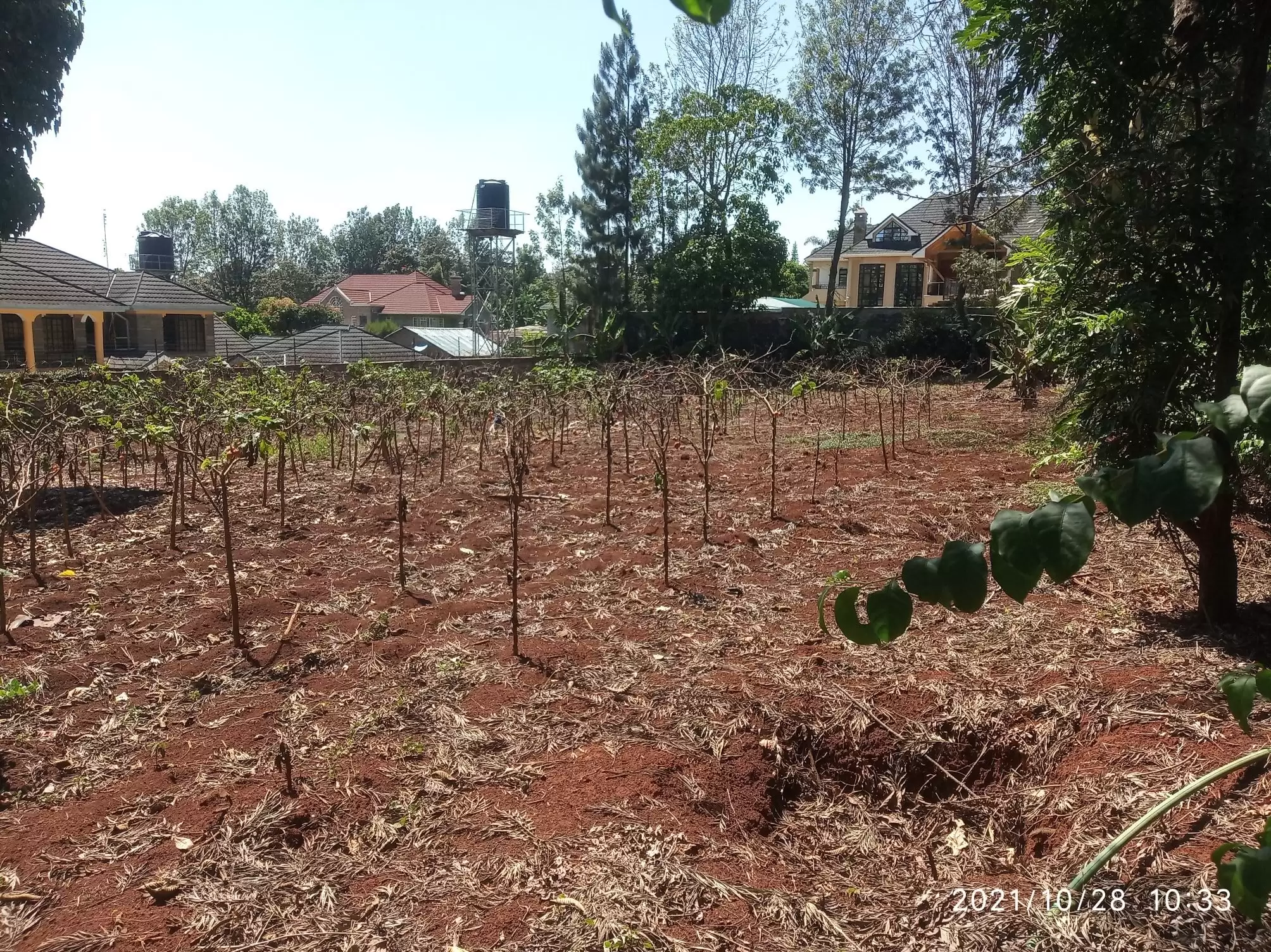 Land for sale in Muthaiga North Parkside Image